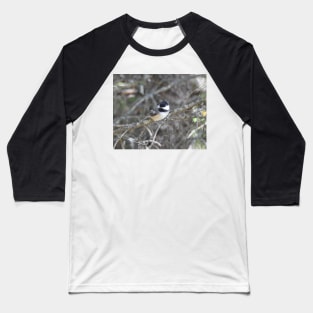 Black-capped Chickadee, wild birds, wildlife gifts Baseball T-Shirt